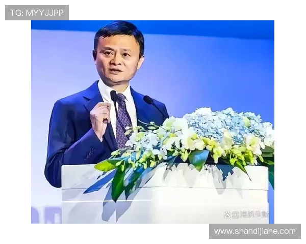 从企业家精神到全球创新领袖：探索成功背后的商业智慧与战略